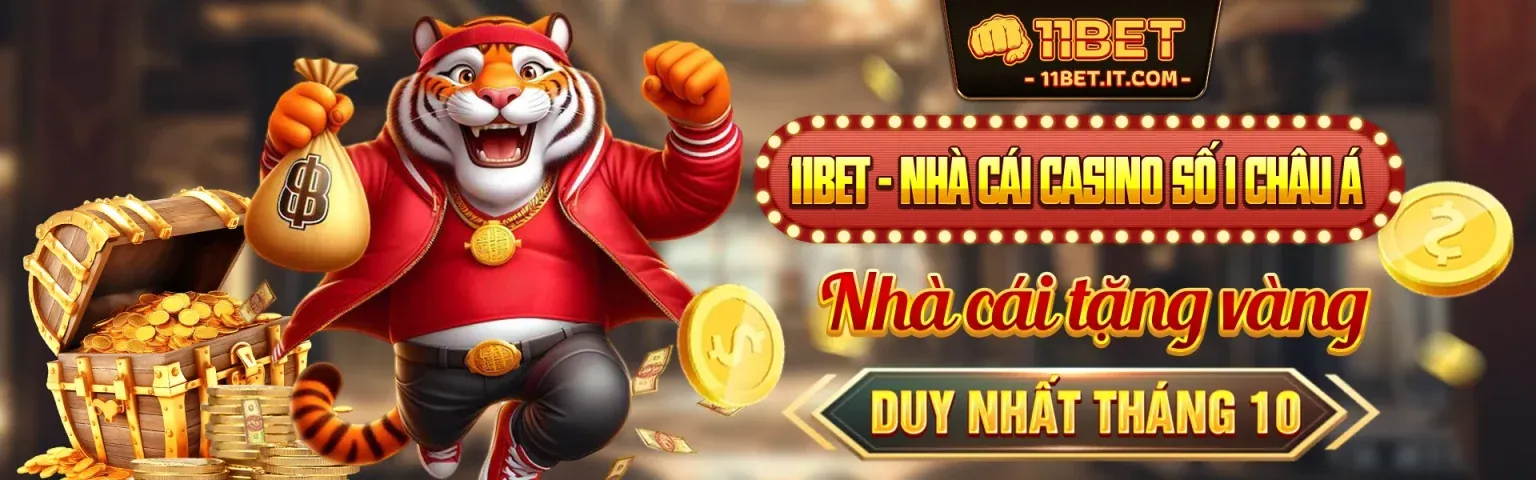 Chính sách quyền riêng tư của vibet code